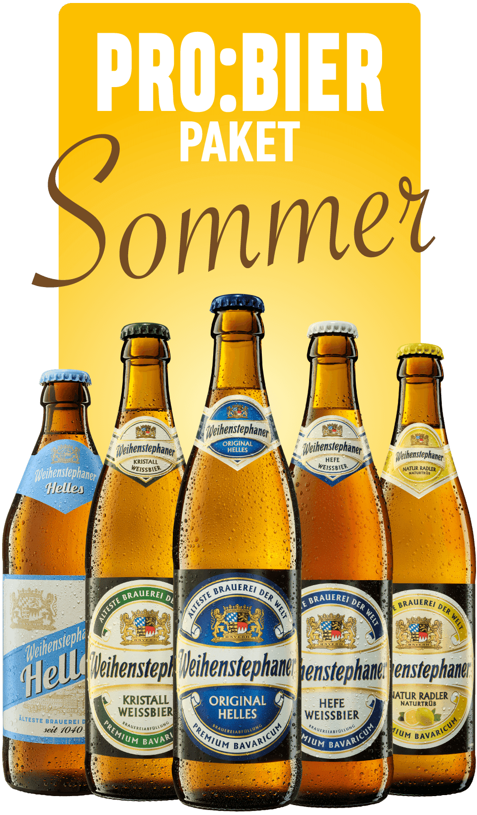 Probierpaket Sommer